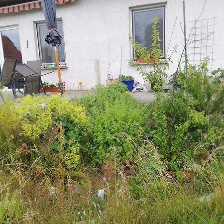 Ferienwohnung 维滕贝格 外观 照片
