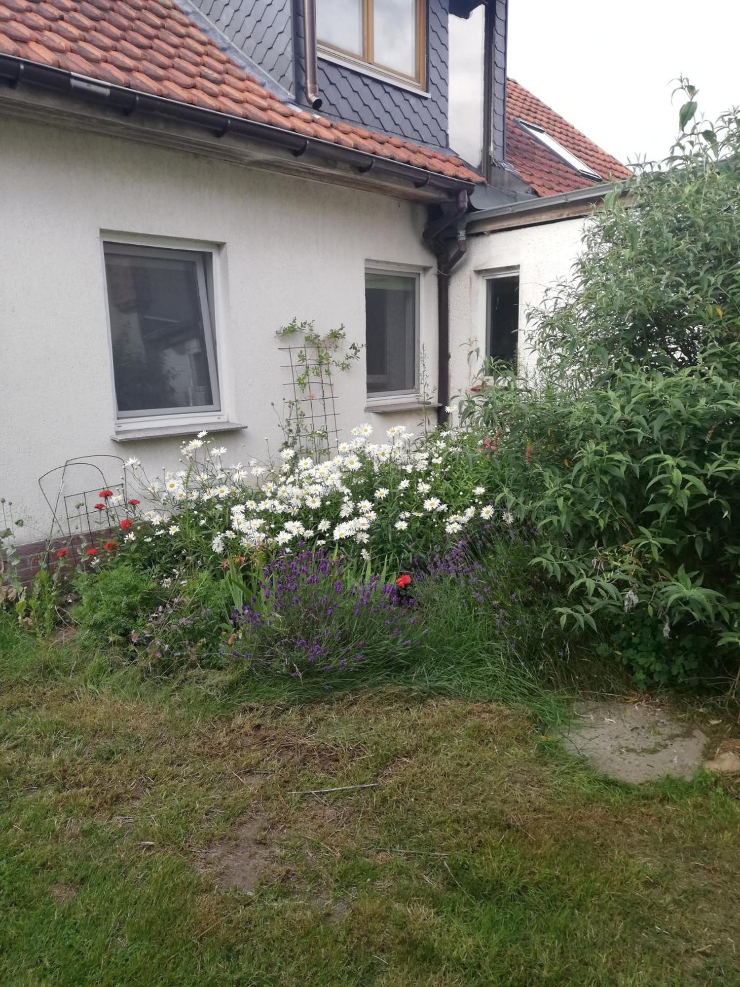 Ferienwohnung 维滕贝格 外观 照片