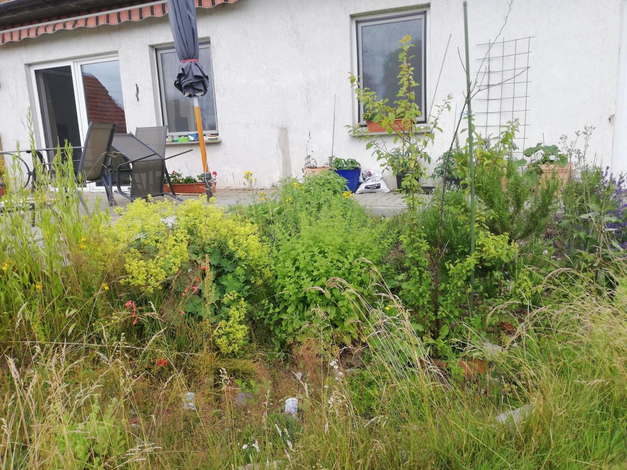 Ferienwohnung 维滕贝格 外观 照片